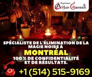 psychic reader in montreal